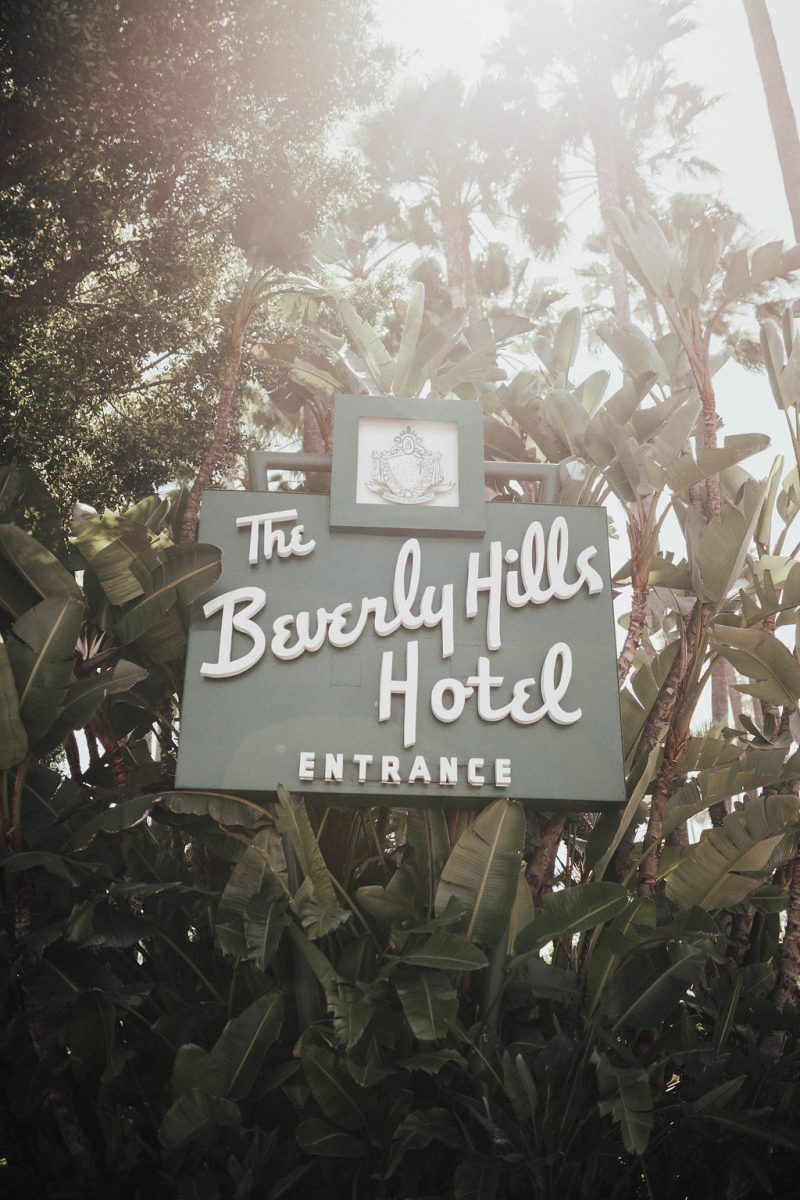 Girls Trip To Beverly Hills! | Ariana Lauren